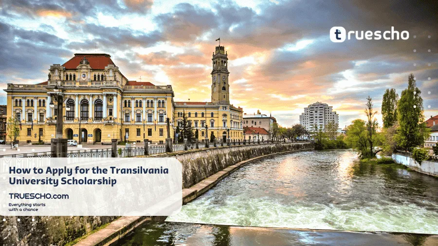 Transilvania University Scholarship 
