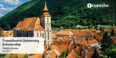 Transilvania University Scholarship 2025 | Fully Funded Study in Romania