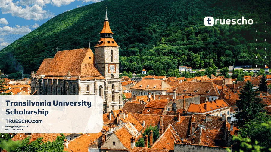 Transilvania University Scholarship