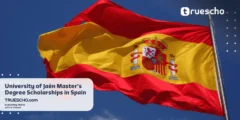 University of Jaén Scholarships 2025 in Spain